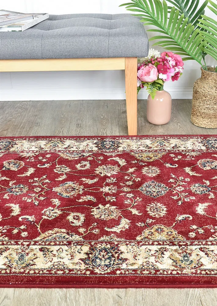 Zeus Red 64 Traditional Rug - Image 13