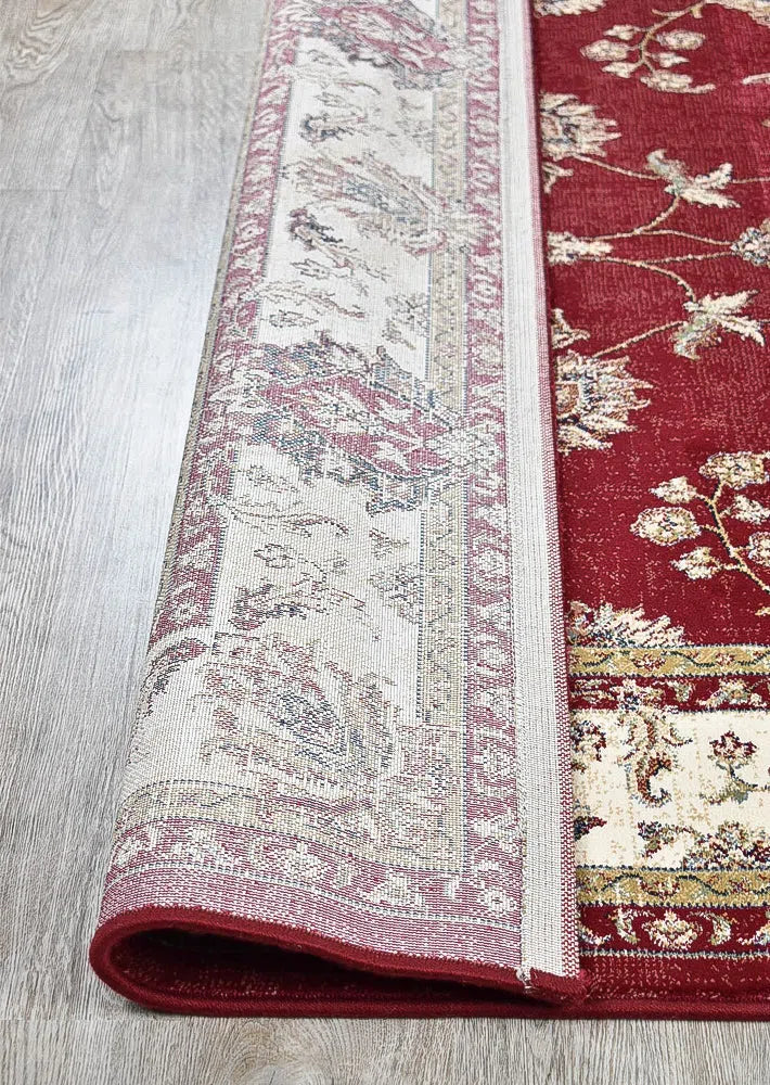 Zeus Red 64 Traditional Rug - Image 5