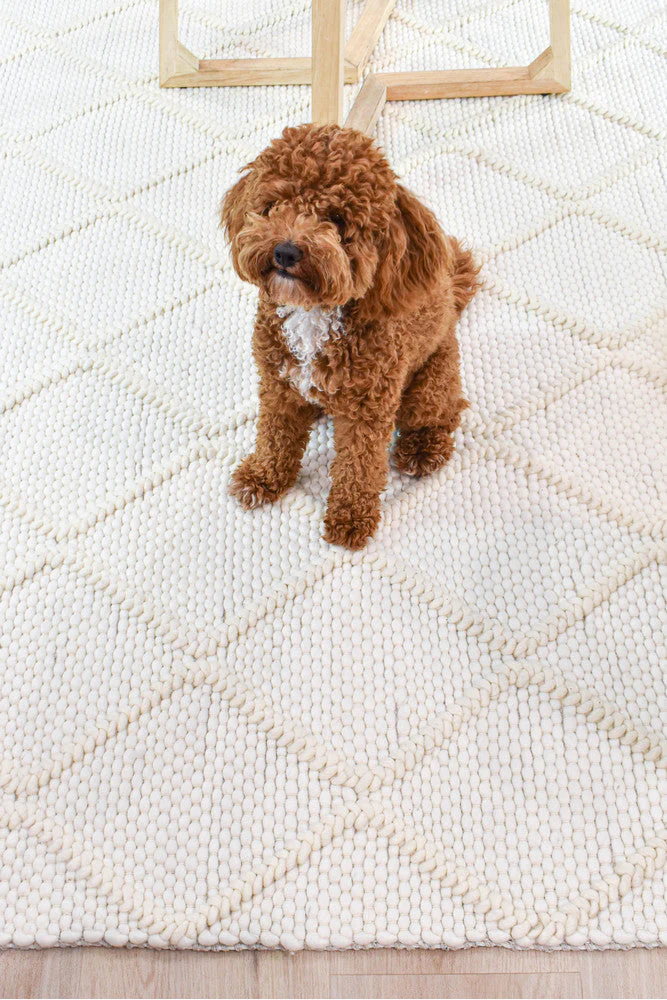 Allure Diamond Frost Wool Rug - Image 7