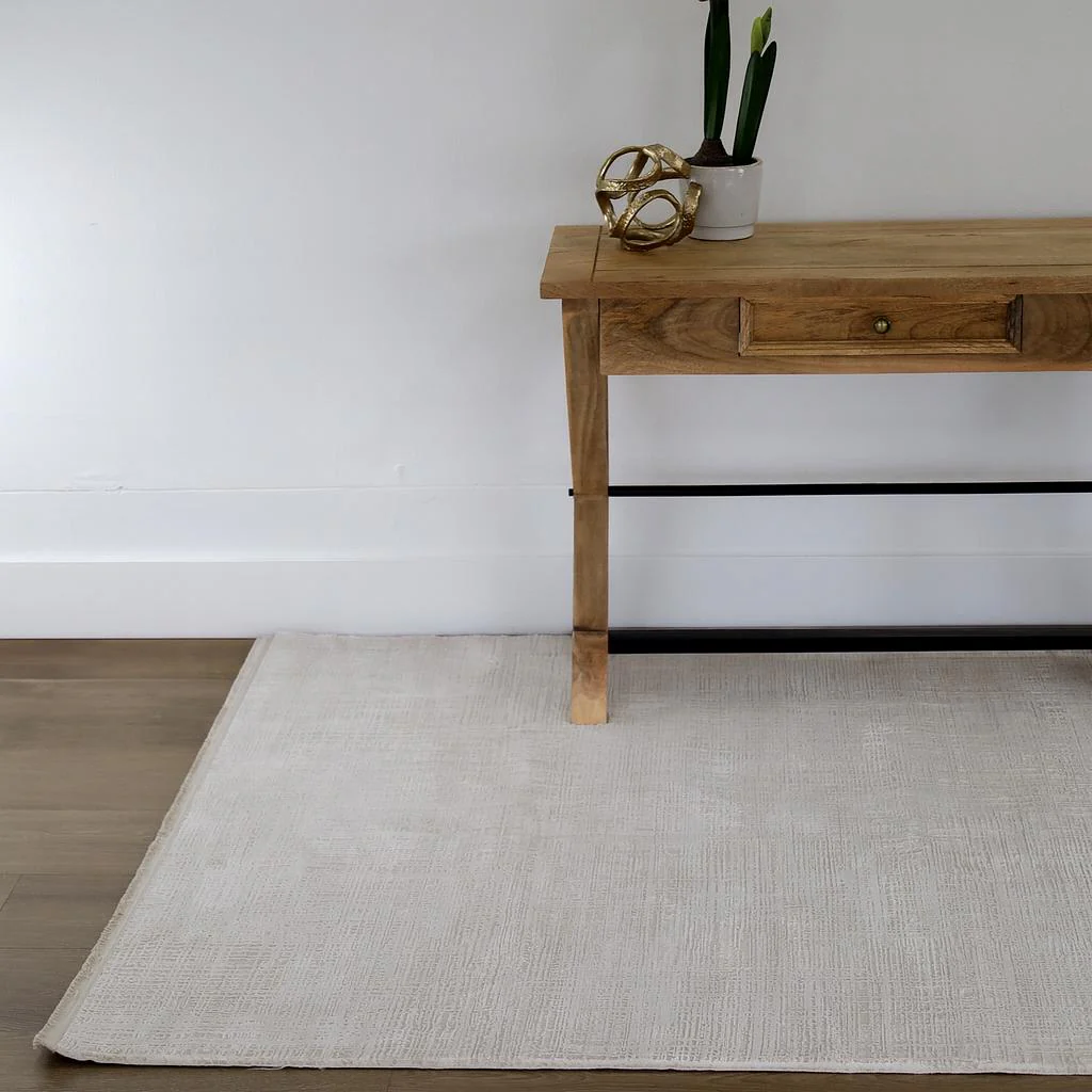Amadeus Beige Modern Distressed Rug - Image 3
