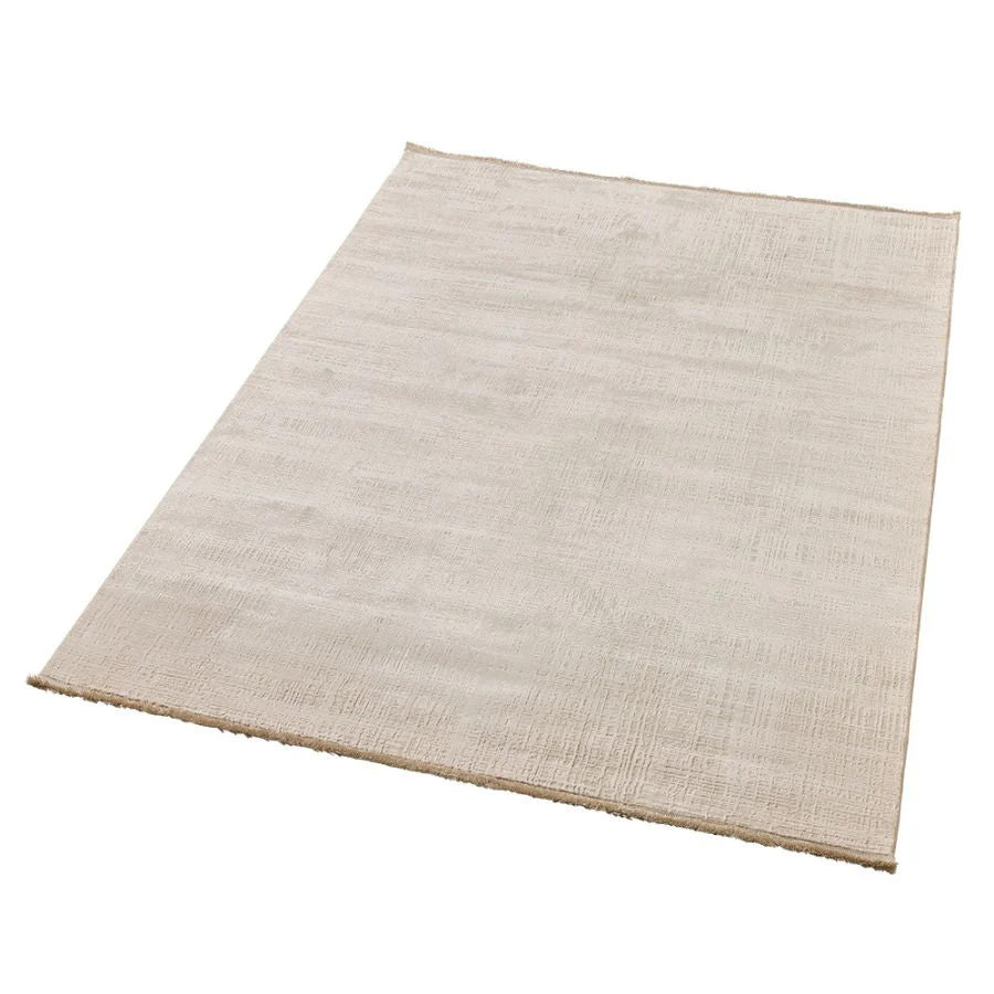 Amadeus Beige Modern Distressed Rug - Image 5