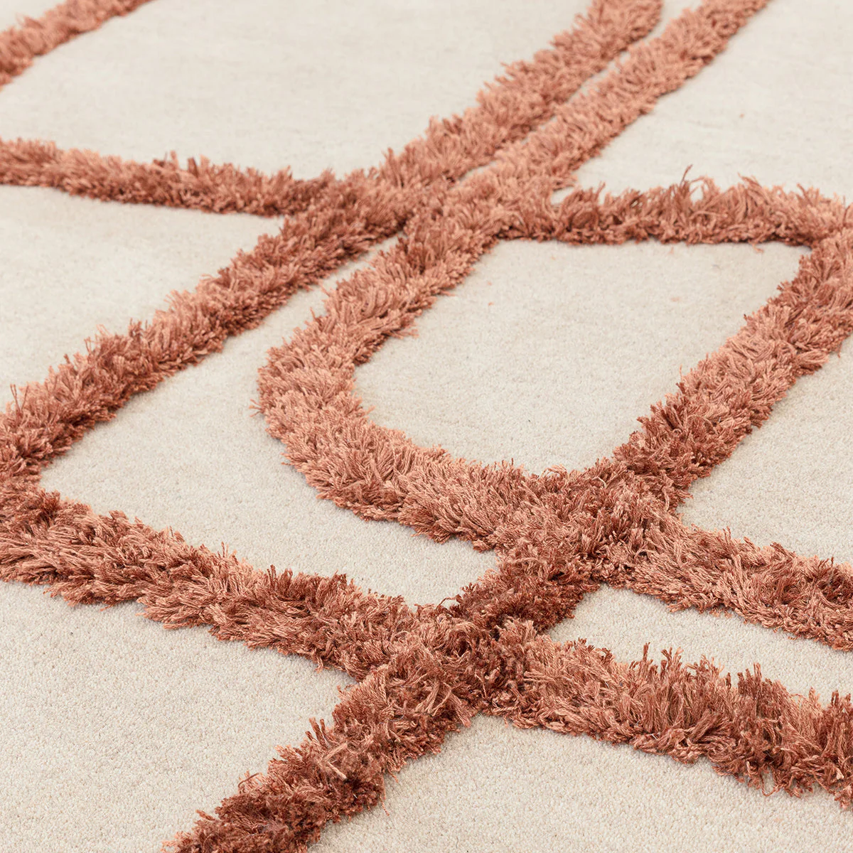 Asiatic Matrix Infinity Copper Rug - Image 6