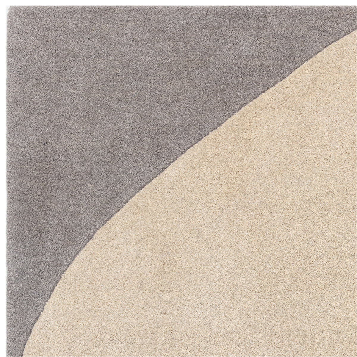 Asiatic Reef 25 Mid Century Teal Rug - Image 4