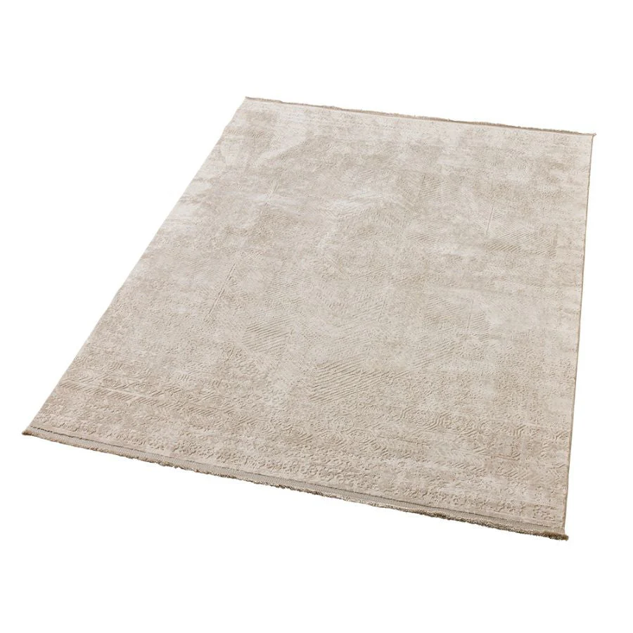 Corin Beige Distressed Rug - Image 5