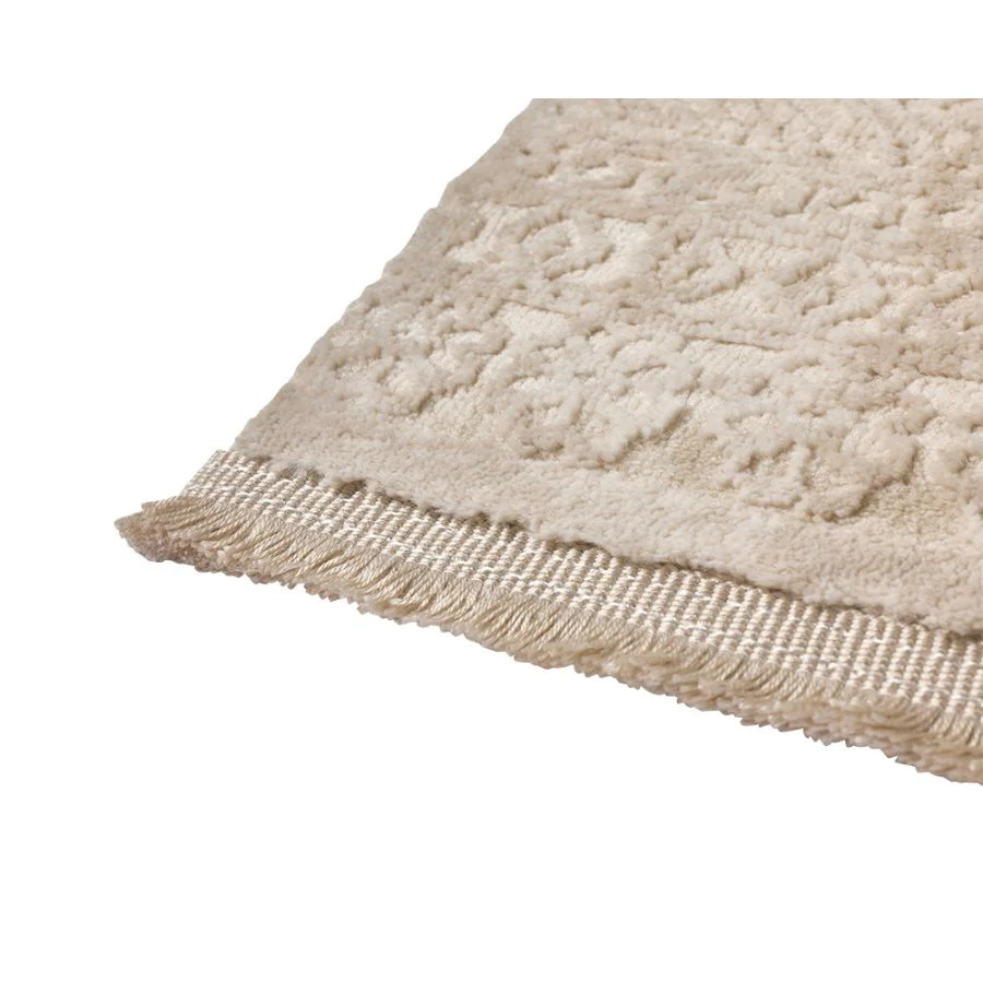 Corin Beige Distressed Rug - Image 6
